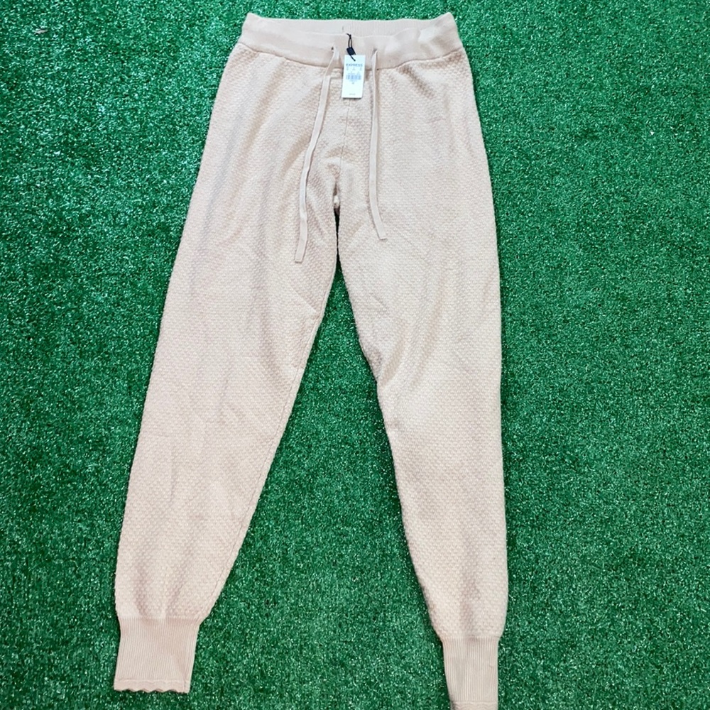 Express Viscose Polyester Nylon Joggers